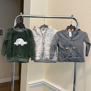 18M Tiger Jacket, Dino Sweater, Dino Winter Hoodie Bundle